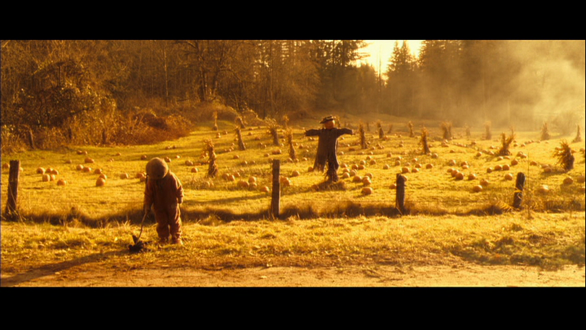 [vlcsnap-2009-10-11-03h20m30s39.png]