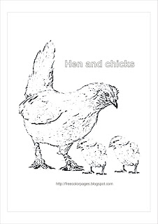 Coloring Pages-Hen And Chicks | Coloring Pages