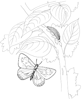 Coloring Pages: August 2009|princess coloring pages|disney ...