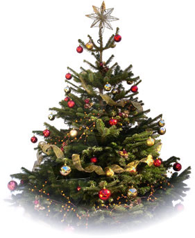 Christmas Tree Christmas Tree