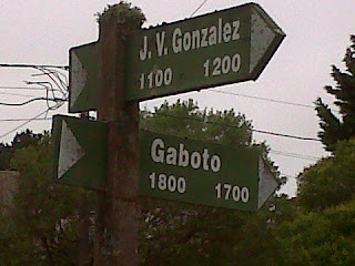 IMG00607 20101125 1235