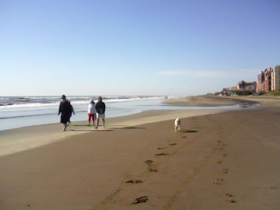Comenzó el fin de semana largo con clima cálido y totalmente despejado en la Costa 2 IMG147 01