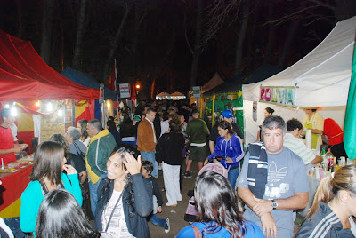 colectividades1