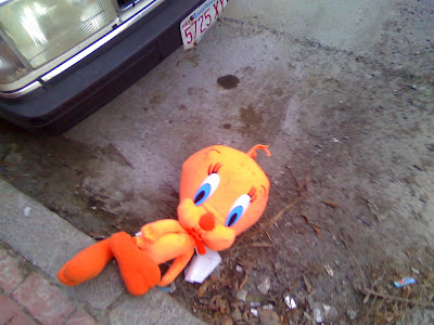 Tweety Sick