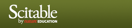 [logo_header.gif]