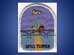 Historia de los Scouts en Tuxpan, Ver.
