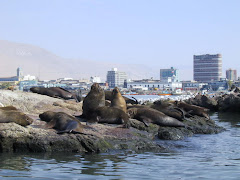 IQUIQUE