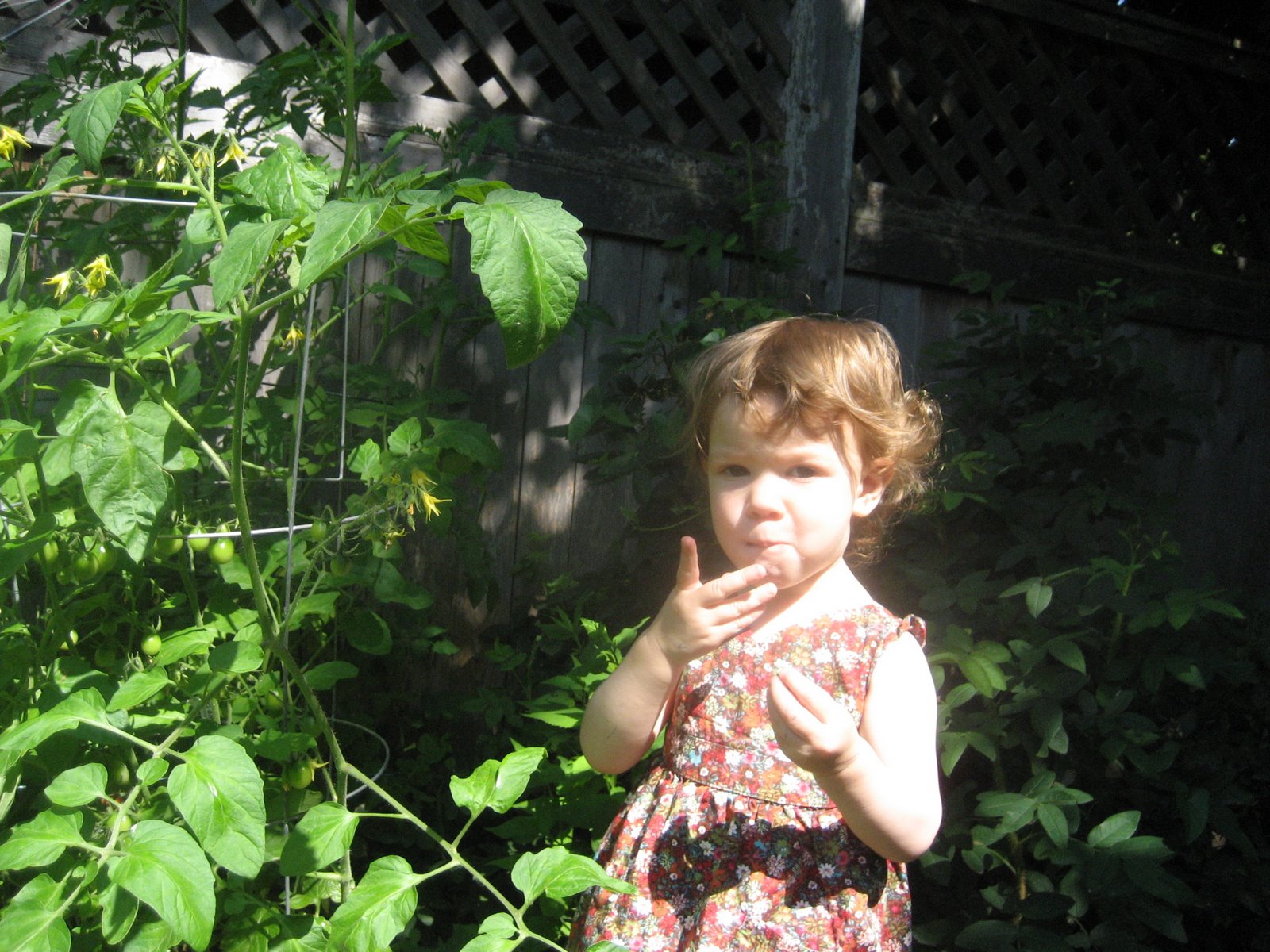 [IMG_4168.JPG]