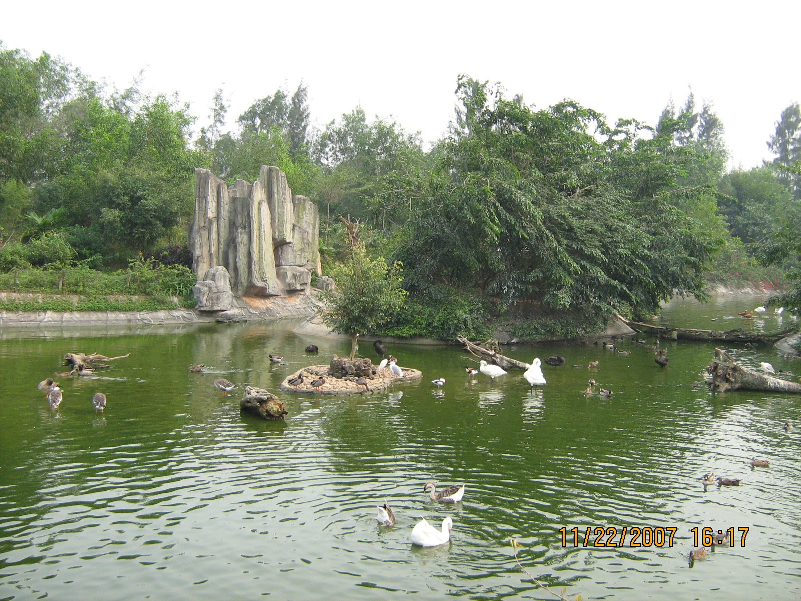 [IMG_2952.jpg]