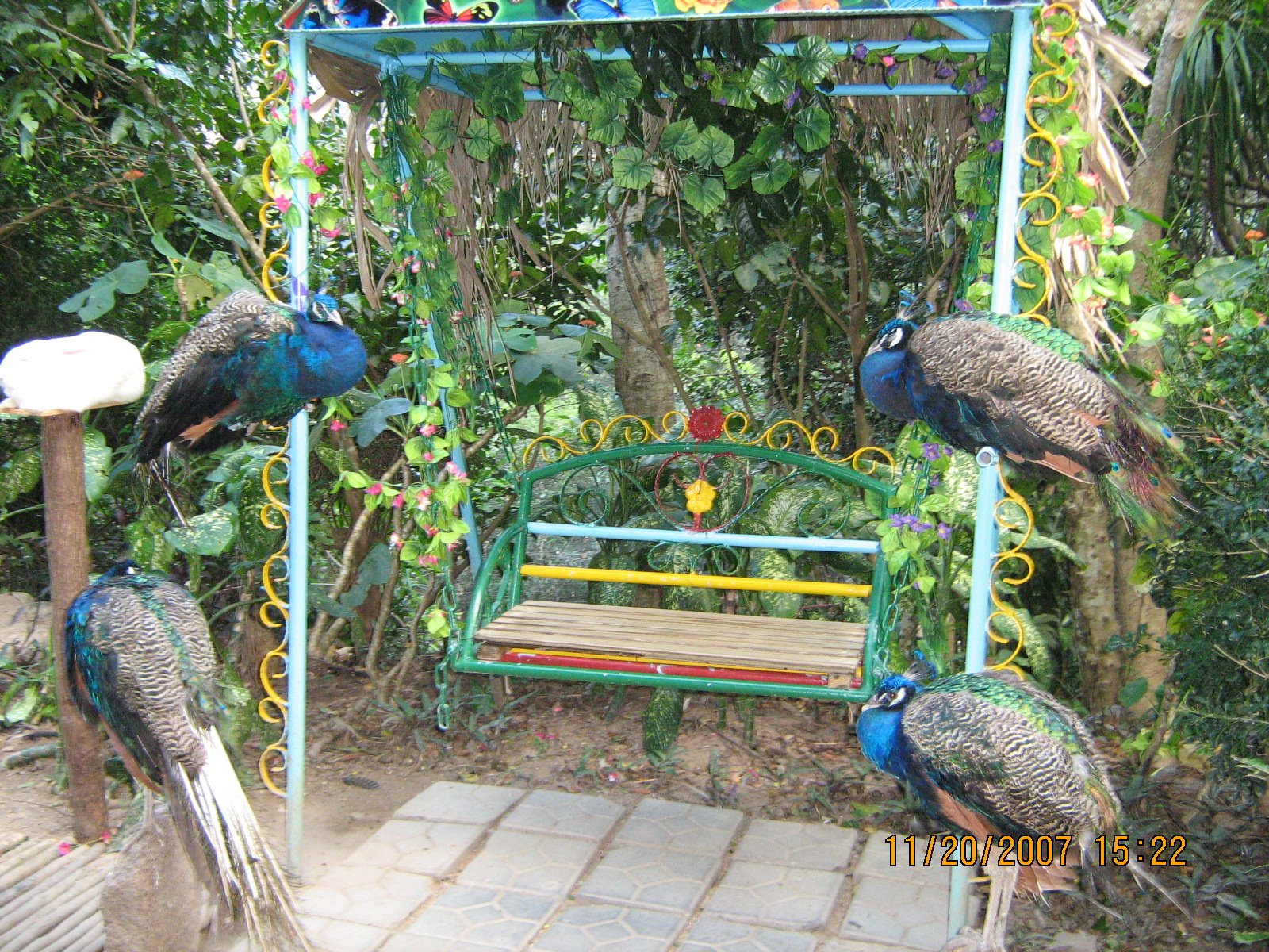 [IMG_2438.jpg]
