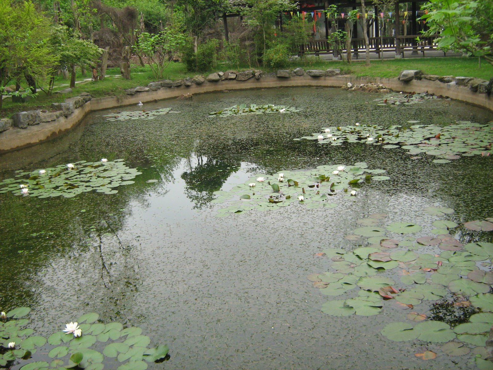 [ç…§ç‰‡+928.jpg]