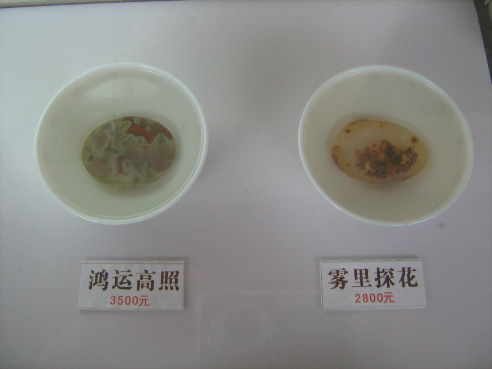 [ç…§ç‰‡+275.jpg]