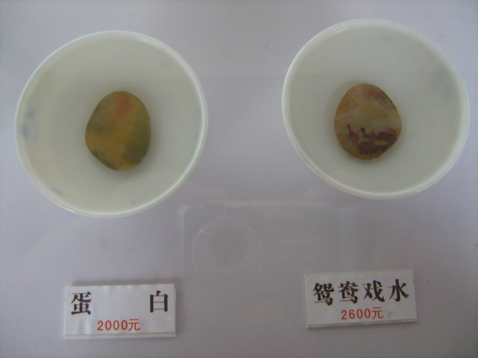[ç…§ç‰‡+274.jpg]