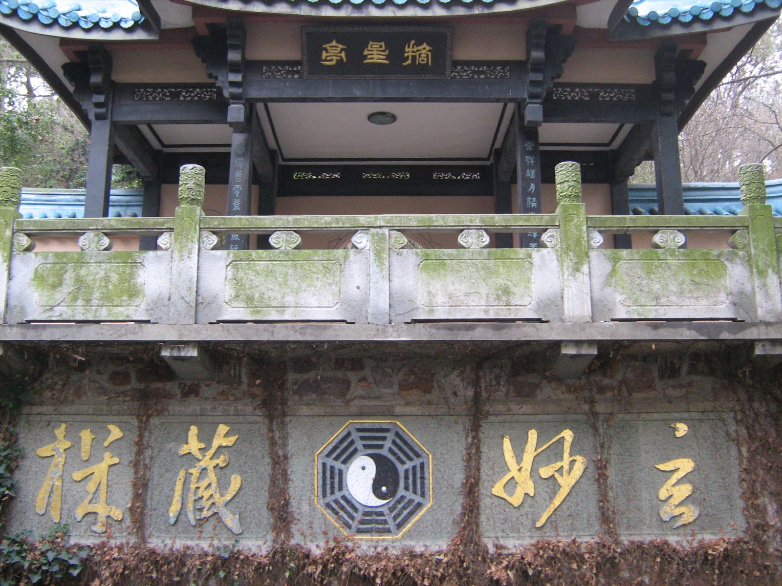 [Picture+123.jpg]