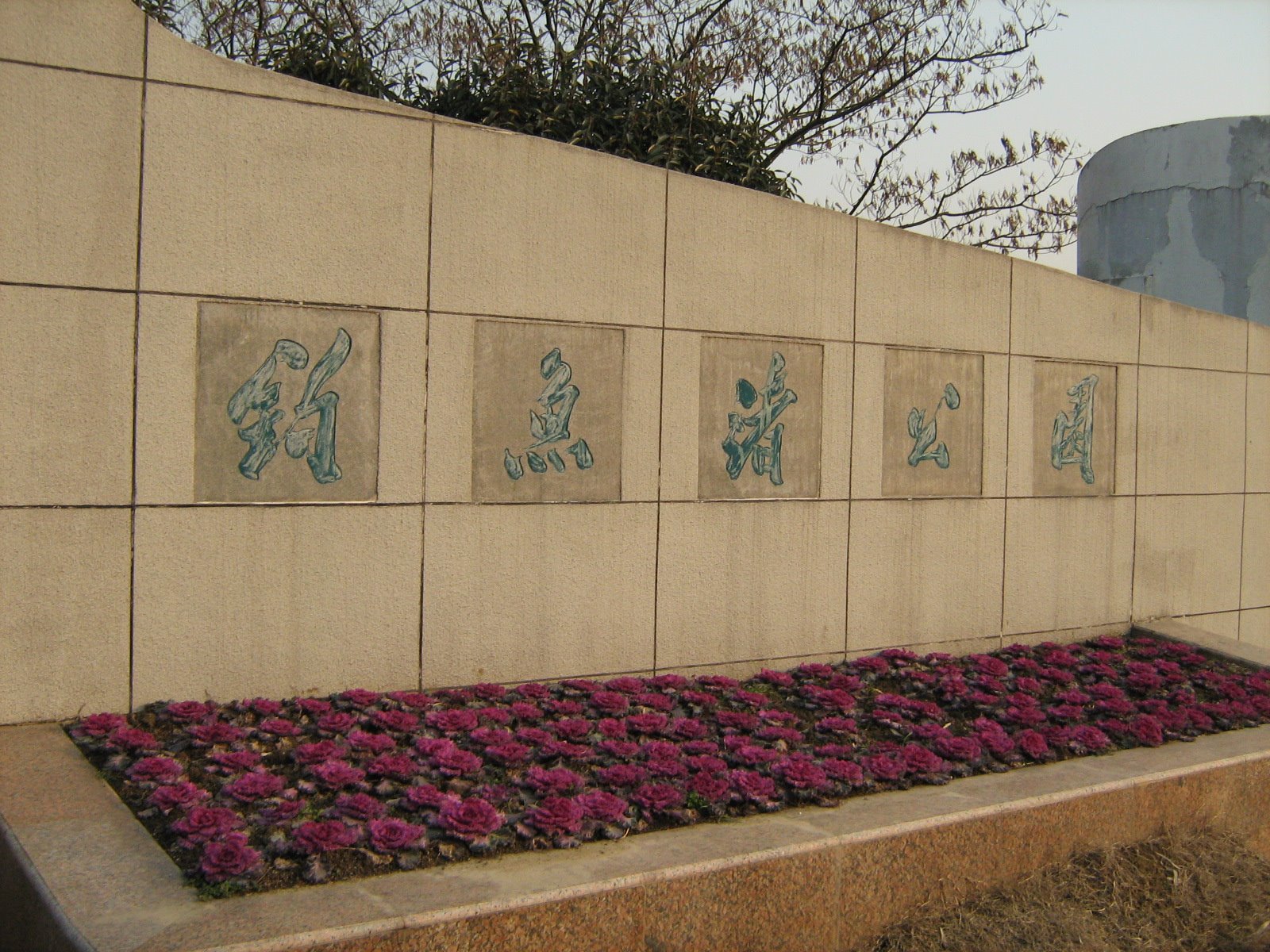 [Picture+487.jpg]