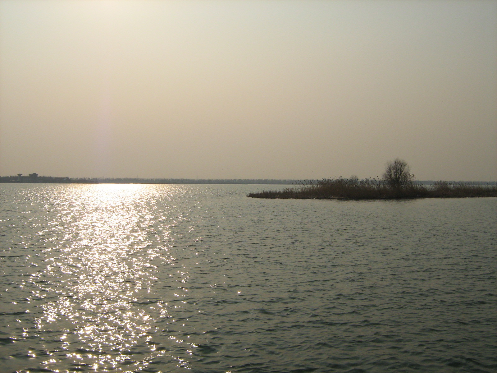 [Picture+457.jpg]