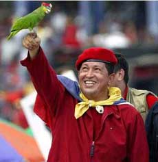 [cotorra+y+papagayo.jpg]