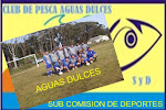 SUB COMISION DE DEPORTES