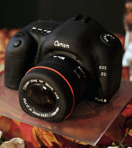 canon5dcake3.jpeg