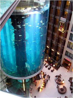 Aquadom-World’s Largest Cylindrical Aquarium Aquadom-World’s Largest Cylindrical Aquarium