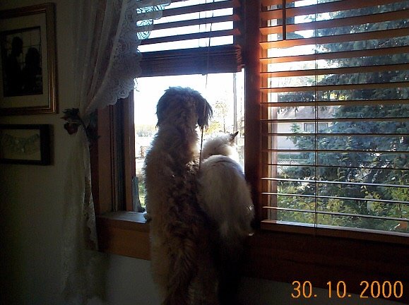 [waiting+for+dad-752993.jpg]