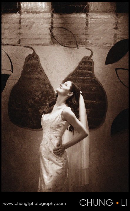 chung li san francisco wedding photographer contemporary las vegas