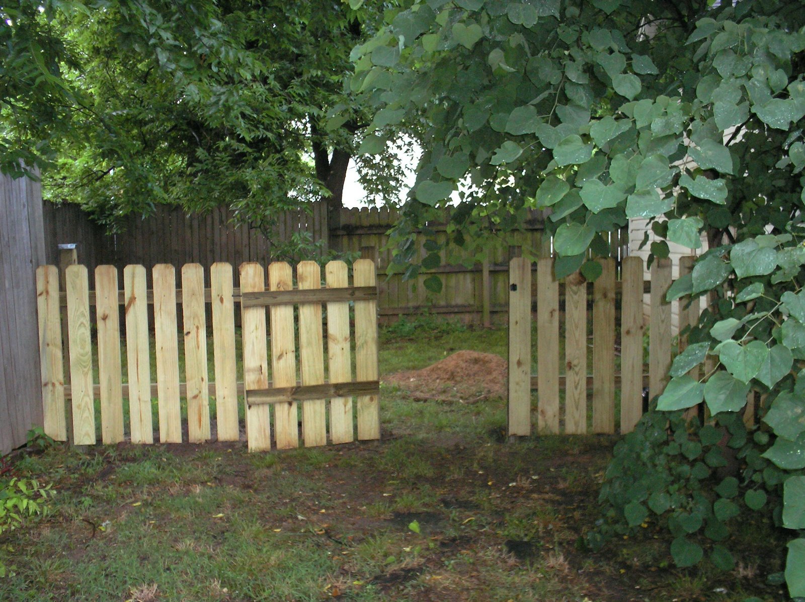 [P3290358.JPG]
