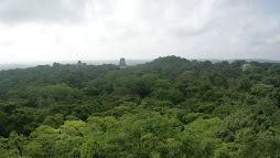 Tikal_Guatemala