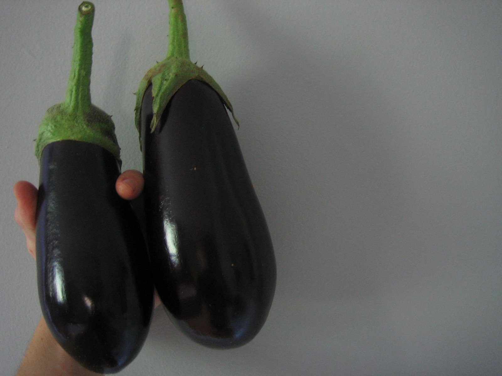 [First+Eggplant.jpg]
