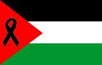 Solidaridad con el Pueblo Palestino,