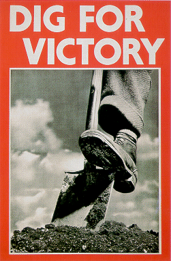 [DigForVictory.gif]