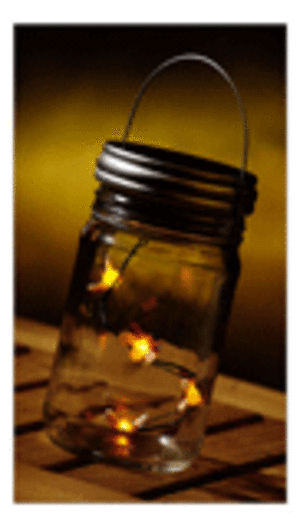 [fireflies.gif]