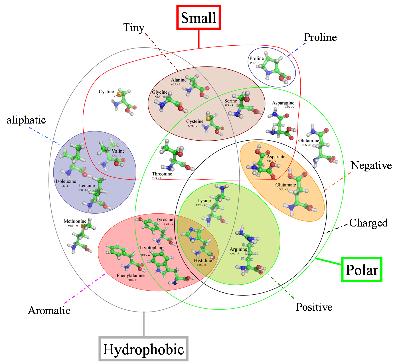 [amino_acids_venn_diagram.png]