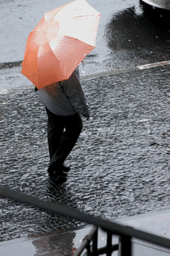 [chove.gif]