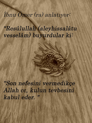 Allah+cc+t,vbey'+kabul+eder2.jpg