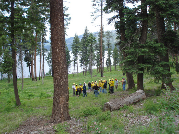 2009 Fire Ecology Institute for Educators