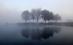 [trees+in+fog.jpg]