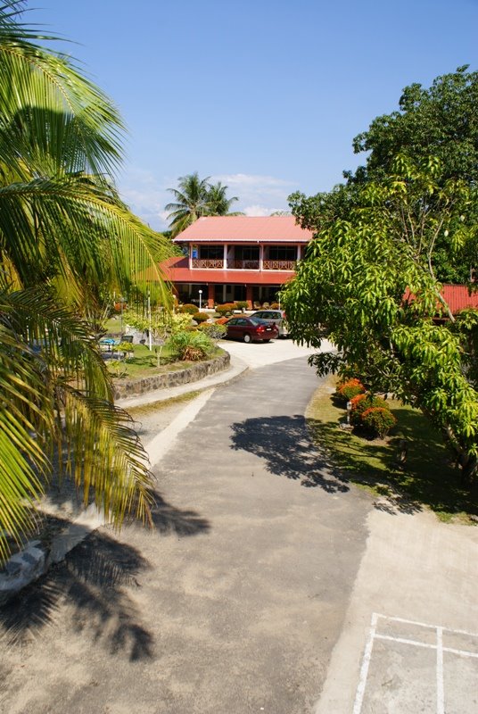 [DSC07981.JPG]