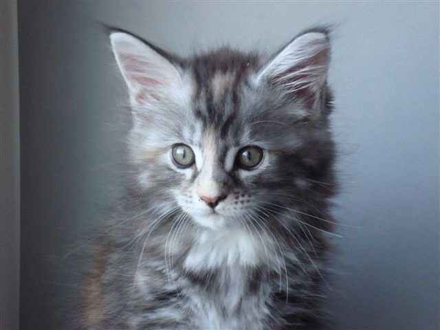 [Dee+Dee2mesesB.JPG]