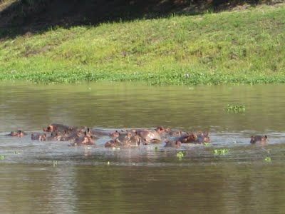 [IMG_8613.JPG]
