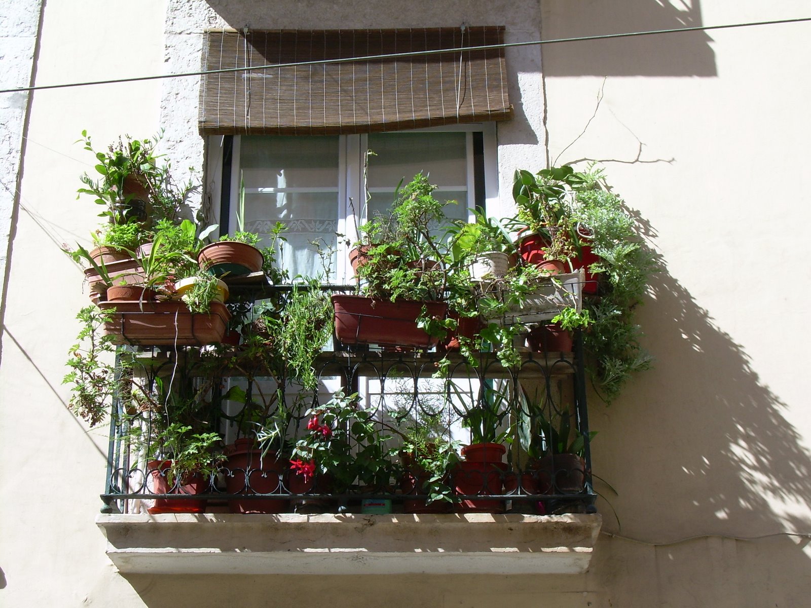 [DSCN1095.JPG]