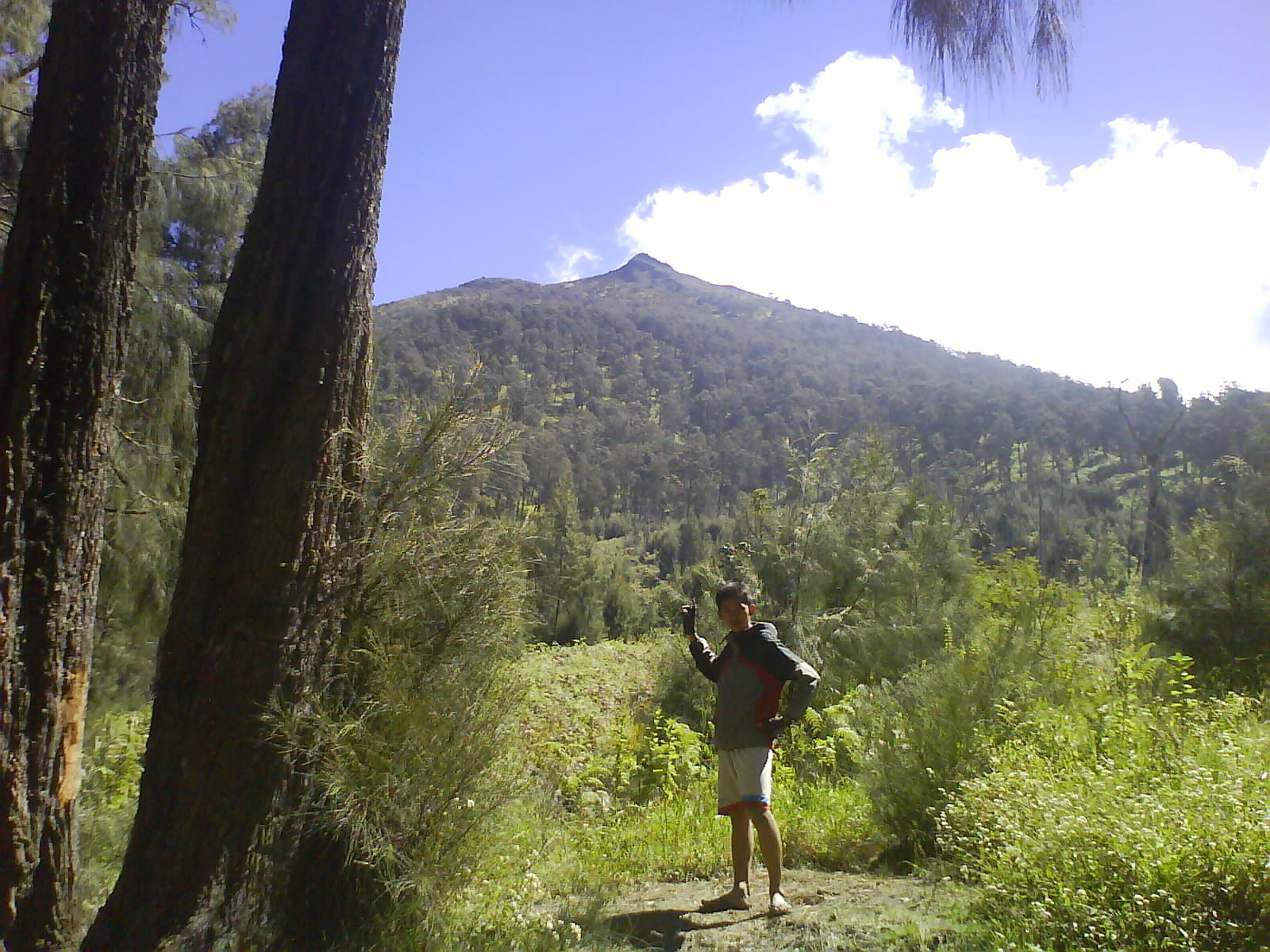 Gunung Arjuna