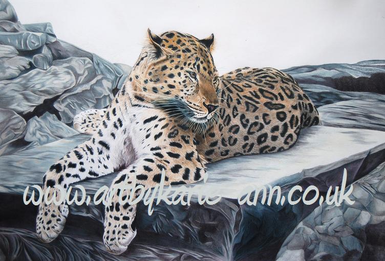 [amur_leopard_by_wildlife_artist_Karie-Ann_Cooper.JPG]