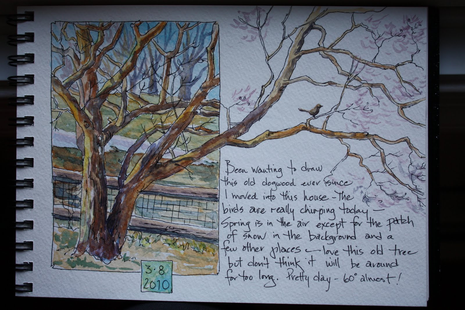 [Painting+Journal+001.JPG]
