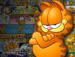 Friends of Garfield...!