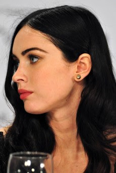 following the celebrities bad side of megan fox how to set up cover letter