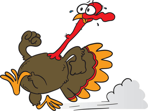 http://4.bp.blogspot.com/_MWsxiS892H0/SxCt2dg4LRI/AAAAAAAAA7A/hKyizdOlS3c/s1600/Running-Turkey-56072.jpg