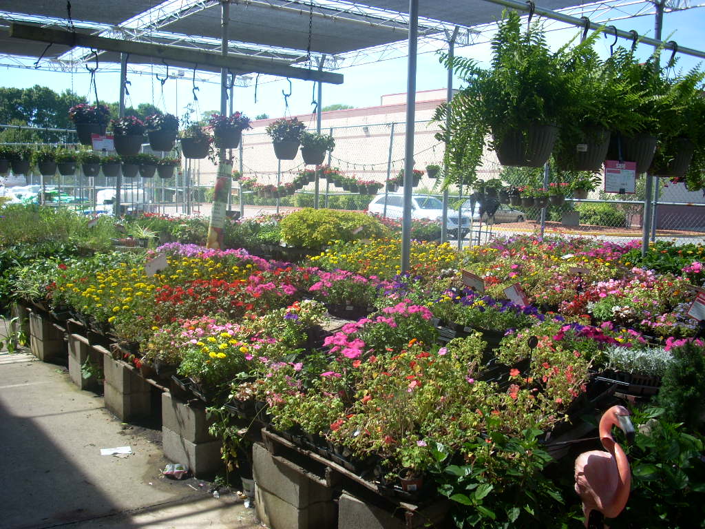 Super Kmart Blog! August 2010