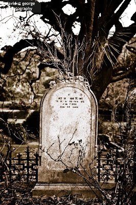 Wellington Graveyard (Copyright) Colonial Era Graveyard David St George Photography