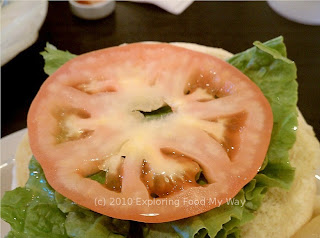 Anemic Tomato Slice Anemic Tomato Slice